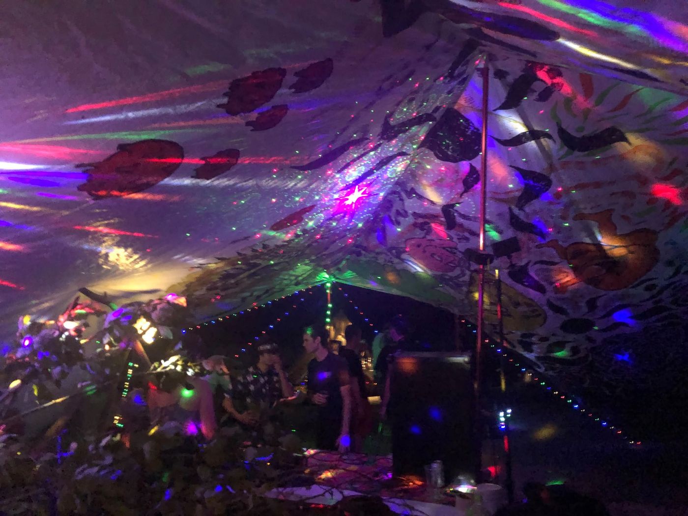 Inside the psychedelic tent