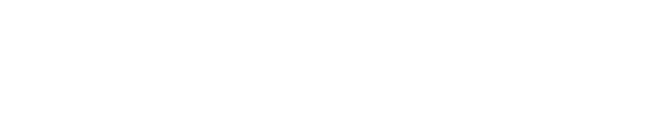 THE GUEST HOUSE